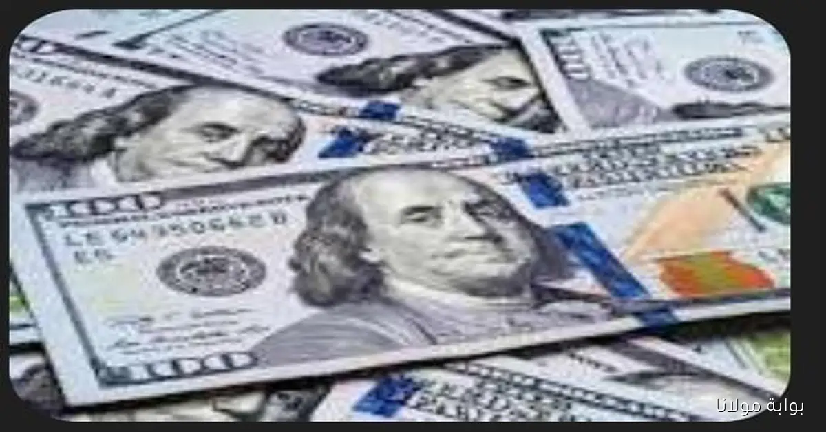 ماهو سعر الدولار في مصر بسبب تقلبات السوق السوداء 3 أكتوبر 2025 بعد خفض الفائده