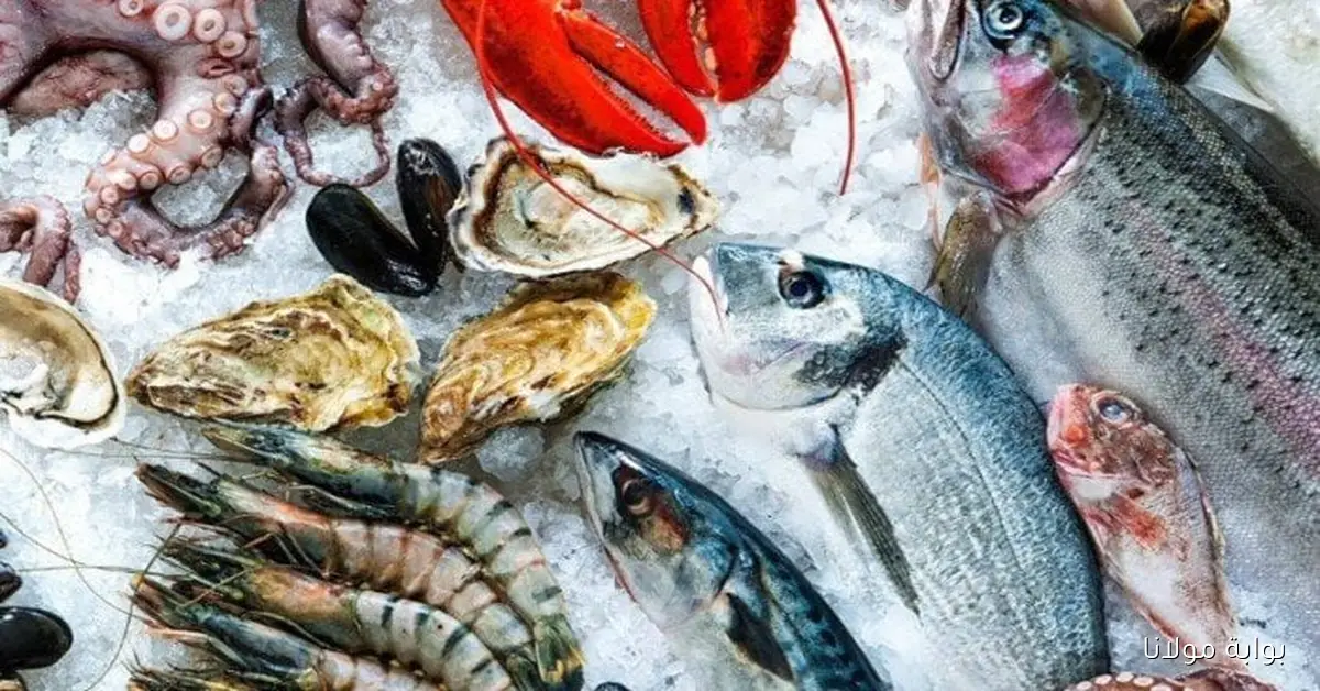 الجمبري بكام.. أسعار الأسماك والأكل البحري اليوم الأربعاء 1 أكتوبر 2025