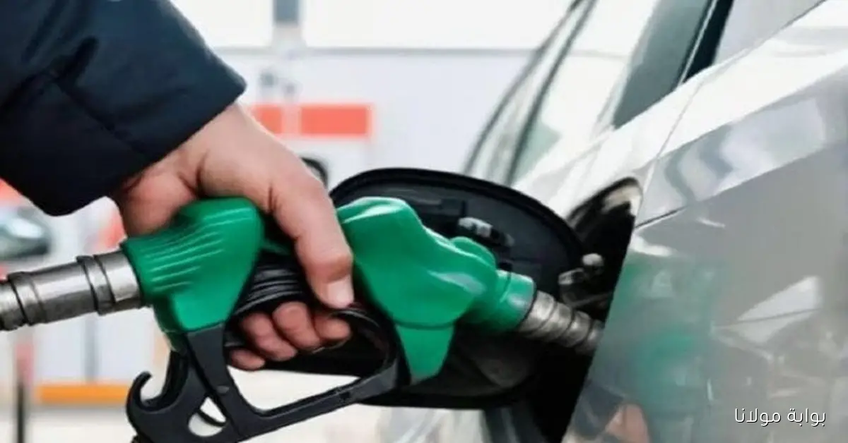 قبل ما يزيد إعرف أسعار البنزين والسولار تتجدد اليوم الأربعاء 8 أكتوبر 2025 في محطات الوقود