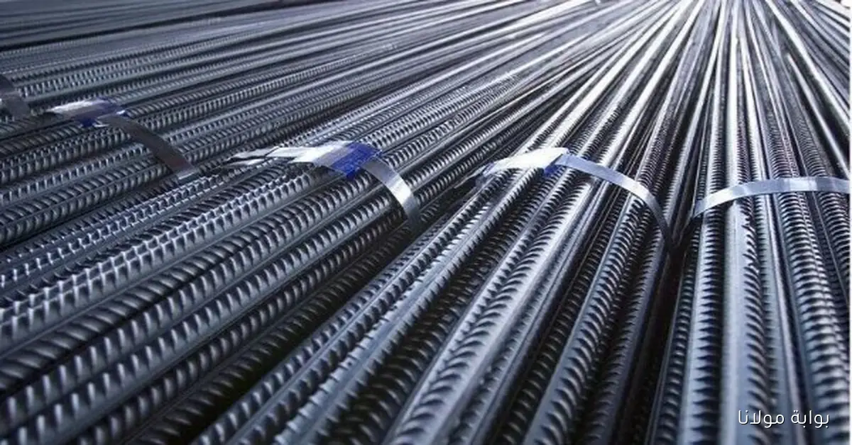 أسعار الحديد في الأسواق المحلية والعالمية يوم الخميس 16 أكتوبر 2025