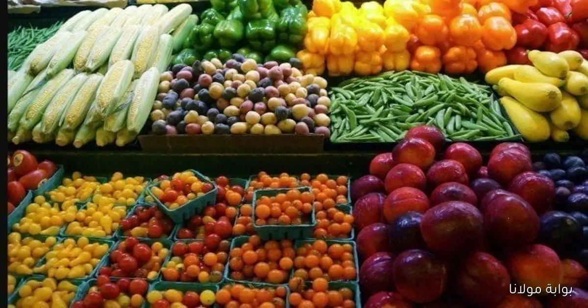 أسعار الخضراوات والفاكهة اليوم الأربعاء 8 أكتوبر 2025: ماذا عن ثمن العنب؟