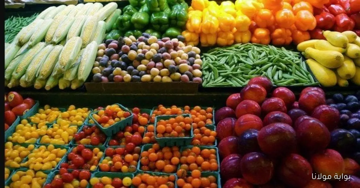 أسعار الخضراوات والفاكهة اليوم السبت 11 أكتوبر 2025 تعرف على سعر الطماطم الذي وصل إلى 24 جنيهًا