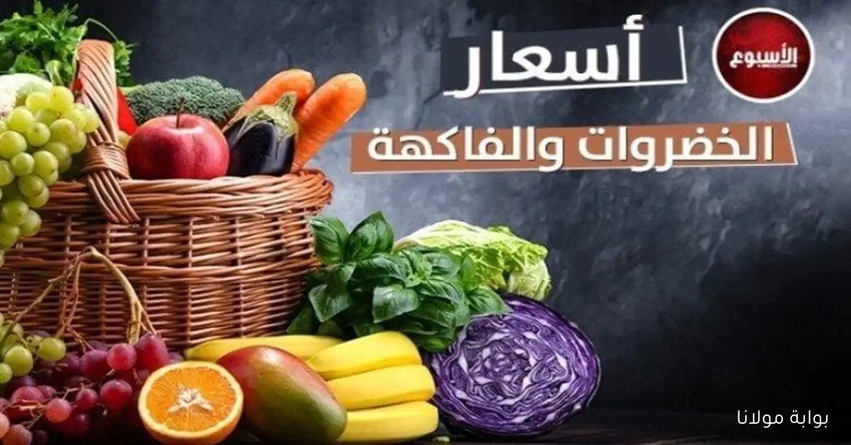 أسعار الخضروات والفاكهة في مصر اليوم الثلاثاء 7 أكتوبر 2025