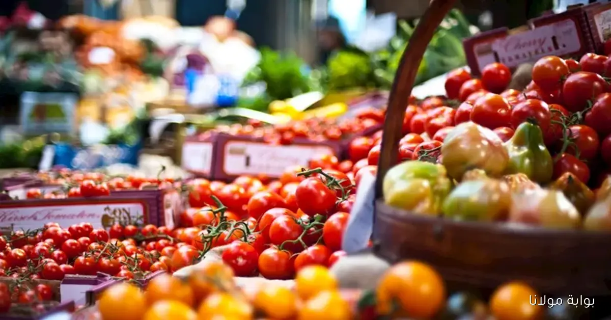 أسعار الخضروات والفاكهة في سوق العبور اليوم تصل إلى 20 جنيها لكيلو الطماطم