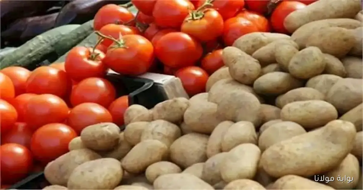 أسعار الخضروات والفاكهة في سوق العبور اليوم مع تراجع أسعار البطاطس