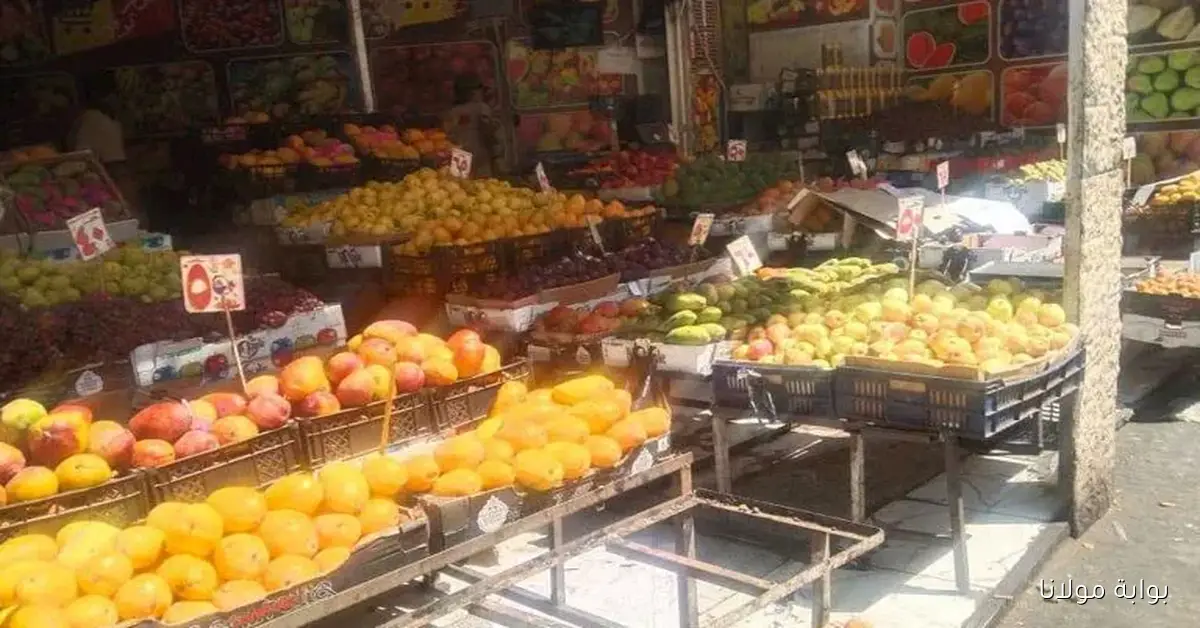 أسعار الخضروات والفاكهة في سوق العبور لهذا اليوم