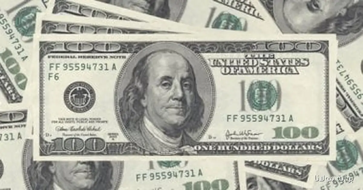 أسعار الدولار اليوم الثلاثاء 7 أكتوبر 2025 مقابل الجنيه في البنك الأهلي تصل إلى 47.53 جنيه