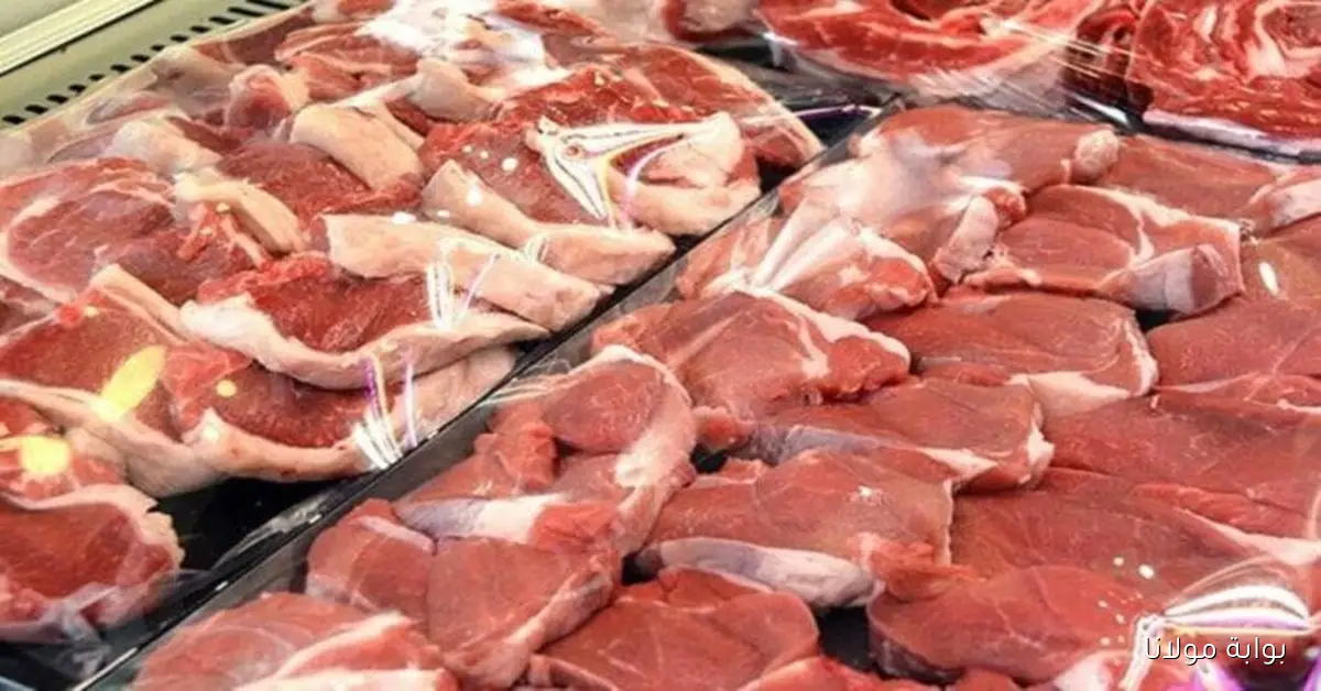 أسعار اللحوم اليوم الأحد 12 أكتوبر 2025: الكندوز بسعر 413 جنيهًا