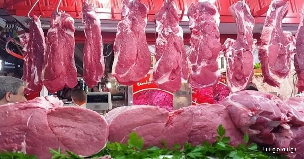 أسعار اللحوم اليوم السبت 11 أكتوبر 2025 في الأسواق وما يهمك معرفته عن البتلو