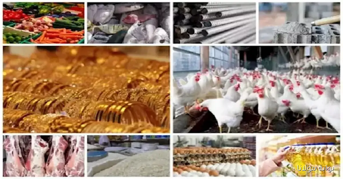 أسعار اليوم: تراجع في الزيت والسكر وزيادة في الذهب