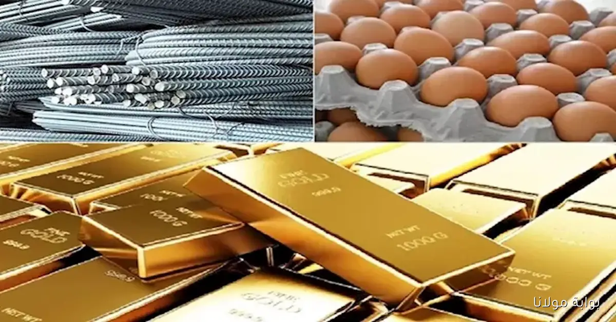 أسعار اليوم: زيادة في الزيت والسكر وانخفاض في أسعار الدواجن