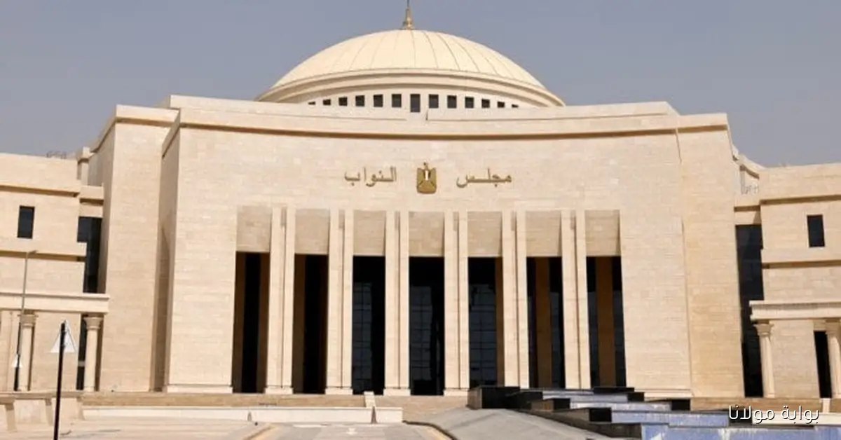 موعد انتخابات مجلس النواب وأسماء محافظات المرحلة الأولى 2025