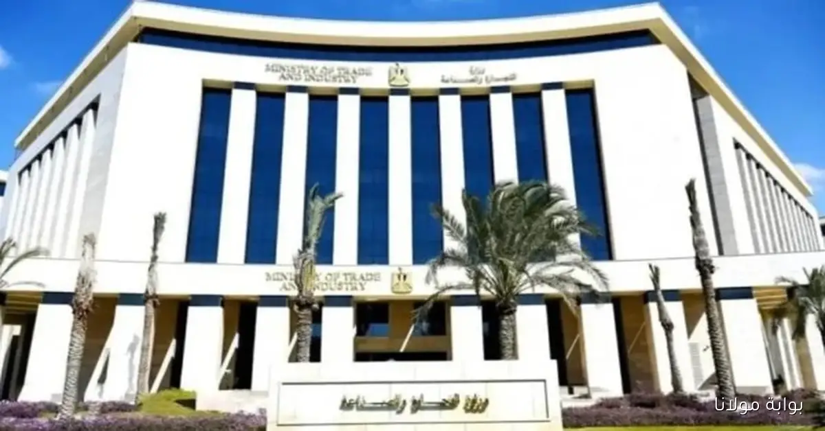 إطلاق حزمة جديدة من التسهيلات لدعم المشروعات الصناعية المتعثرة