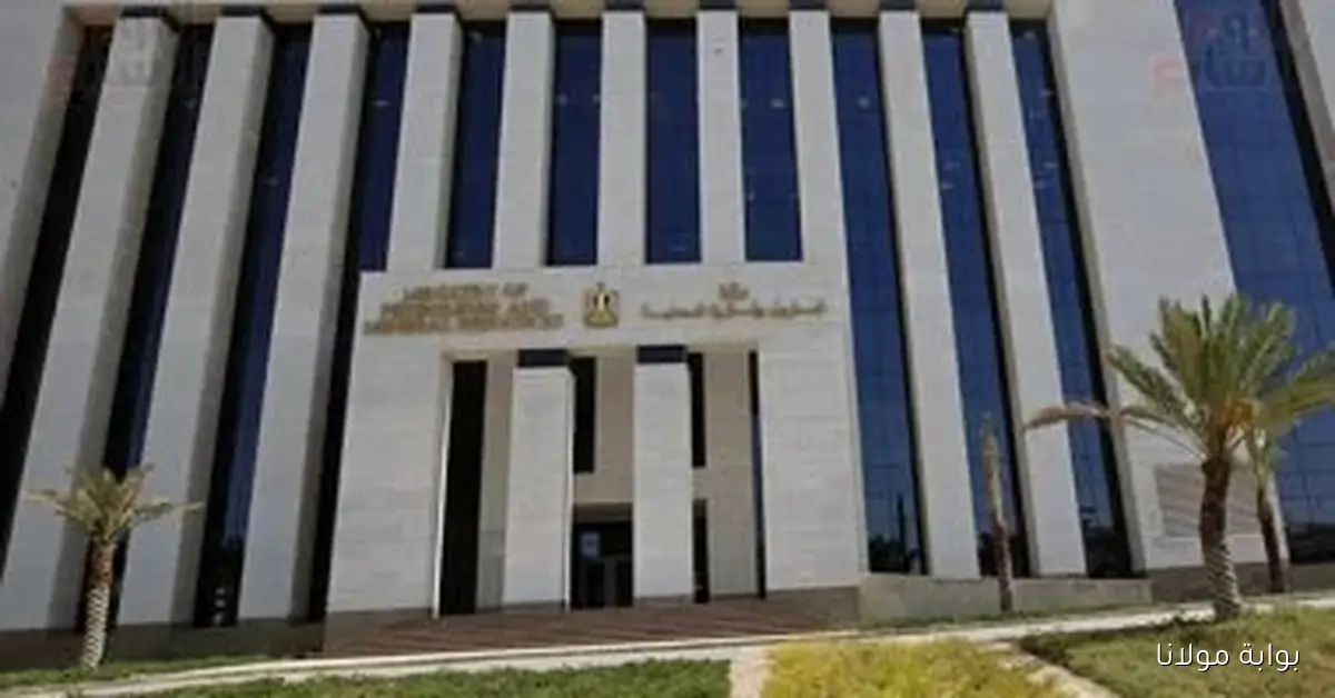 إنبي تدخل نادي الـ 100 وبتروجت تحقق قفزة مذهلة في تصنيف أفضل شركات الإنشاءات عالميًا