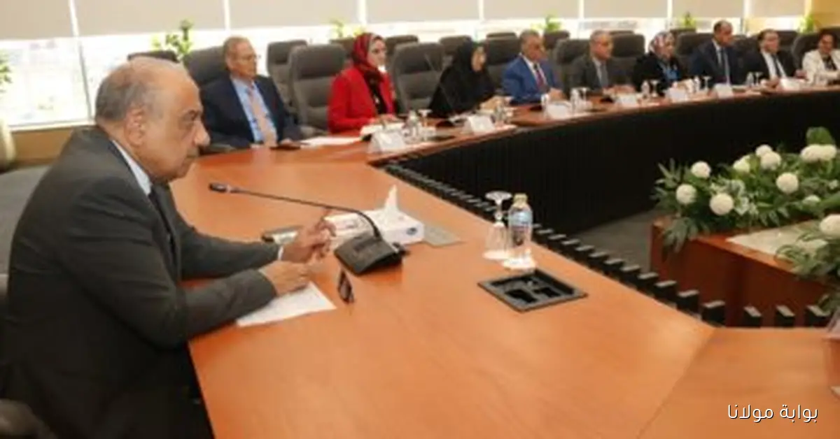 اجتماع وزير الكهرباء مع الاستشاري العالمي لمراجعة خطة فصل الشركة المصرية للنقل كمشغل للشبكة