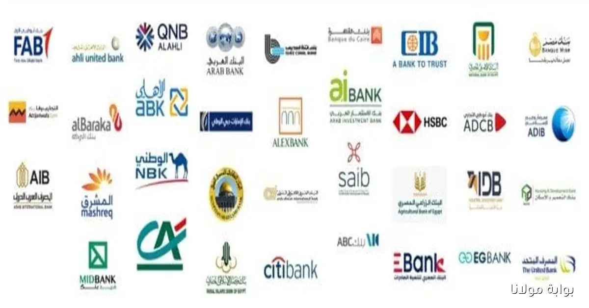 اجتماعات البنوك المصرية هذا الأسبوع دراسة قرار تخفيض سعر الفائدة على الإقراض والادخار