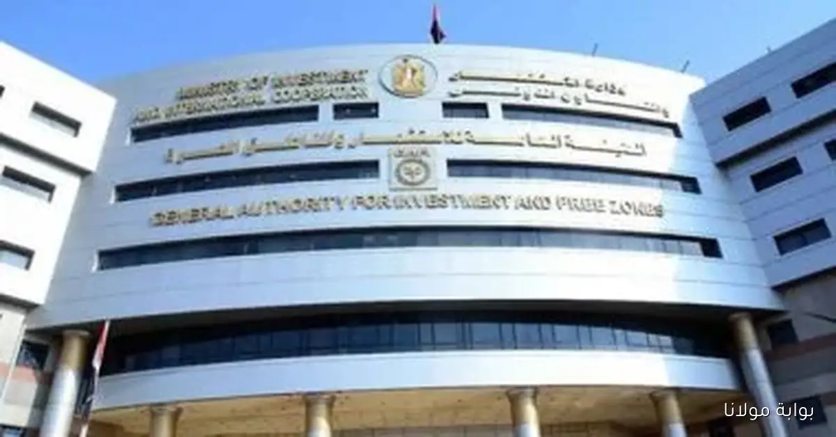 احصل على الجنسية المصرية من خلال استثمار 10 آلاف دولار بخطوات بسيطة