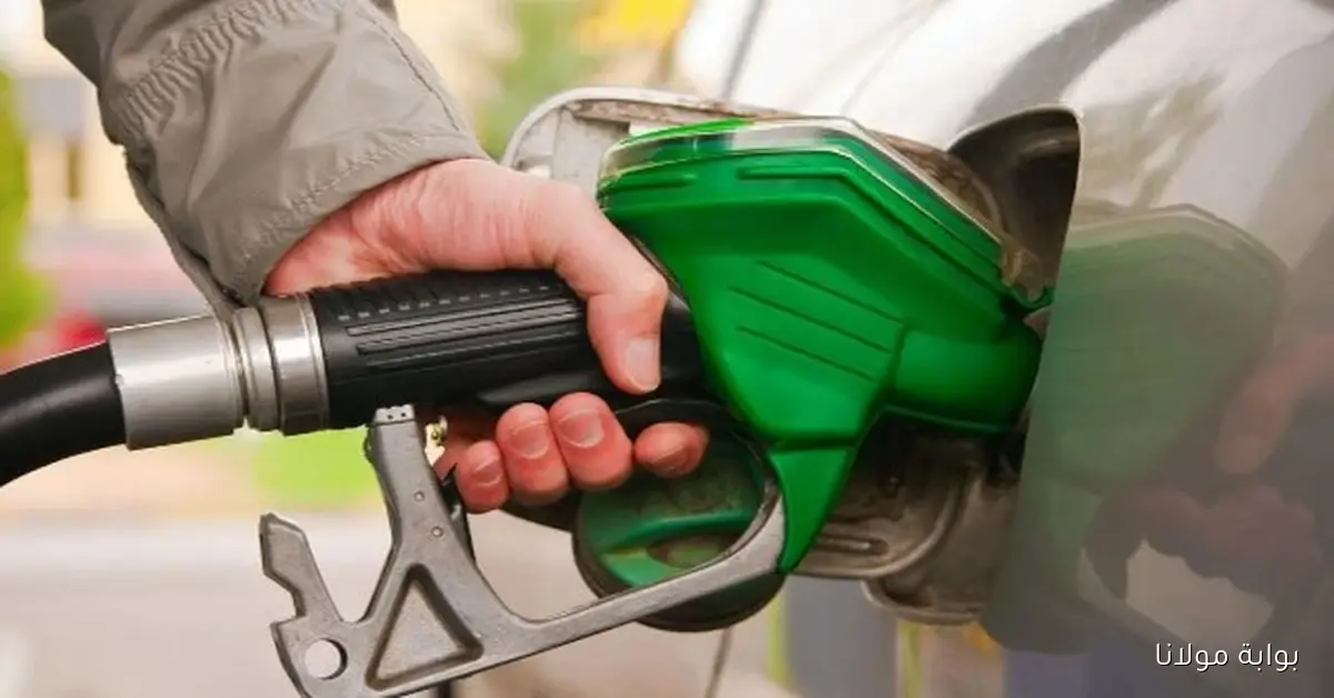 ارتفاع أسعار النقل البري بنسبة 8% نتيجة زيادة أسعار الوقود
