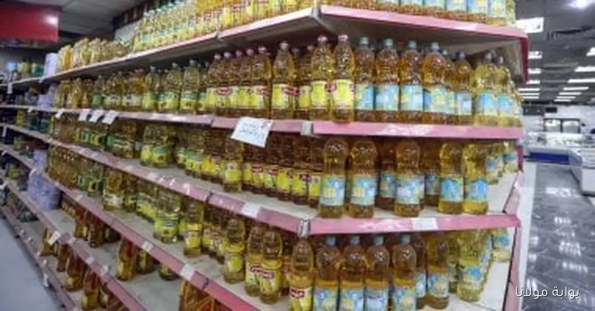 ارتفاع معدل التضخم الشهري في سبتمبر 2025 بنسبة 1.5%