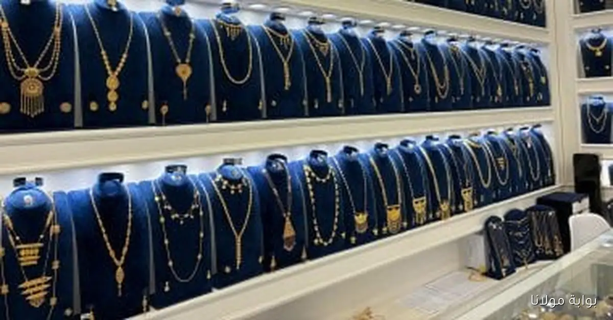 ارتفاع ملحوظ في سعر الذهب اليوم الجمعة 10 أكتوبر مع وصول عيار 21 إلى 5300 جنيها