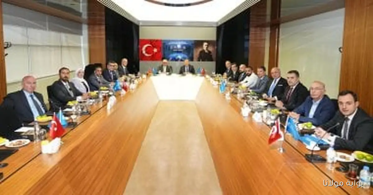 استثمارات تركيا في مصر تصل إلى 4 مليارات دولار لتعزيز التعاون الاقتصادي