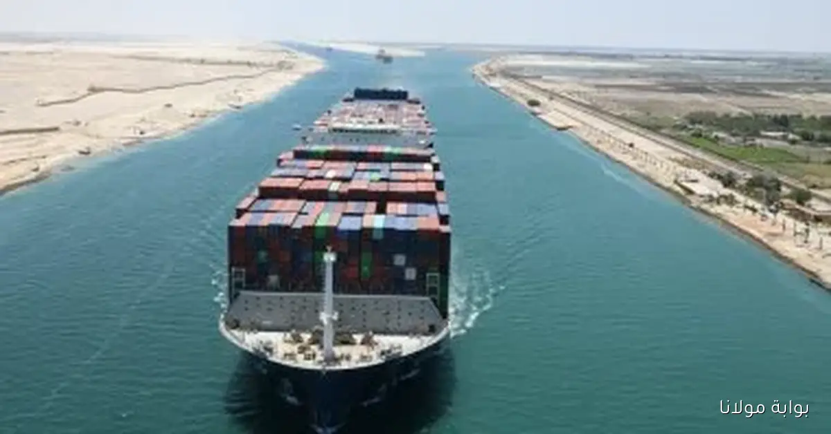 استغلال الأصول: توصيات جديدة من “المحاسبات” لشركة القناة للتوكيلات في مجال السيارات والأراضي