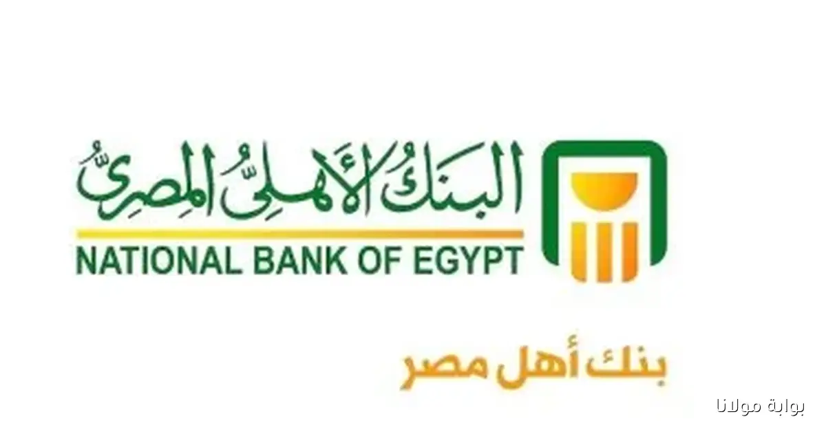 استفد من شهادات البنك الأهلي المصري بعائد 17% على مدار 3 سنوات لتحقيق أقصى استفادة مالية