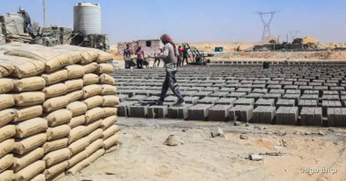 استقرار أسعار الأسمنت اليوم الثلاثاء 7 أكتوبر 2025