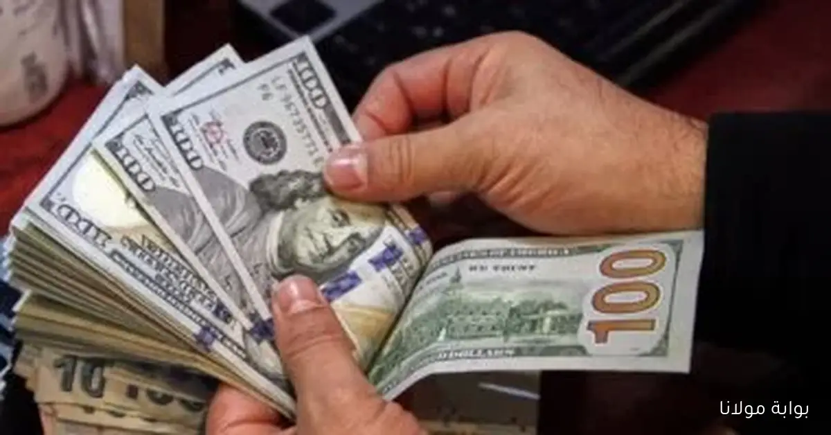 استقرار سعر الدولار اليوم السبت بعد تراجع ملحوظ الأسبوع الماضي