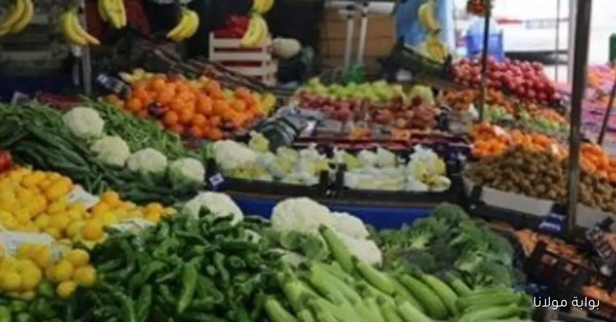 استقرار ملحوظ في أسعار الخضروات والفاكهة بسوق العبور اليوم