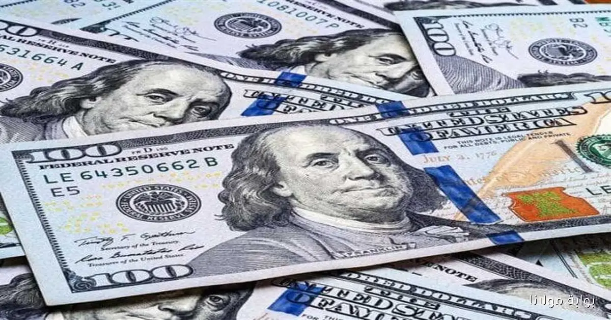 استقرار ملحوظ في سعر الدولار مقابل الجنيه اليوم السبت 11 أكتوبر 2025