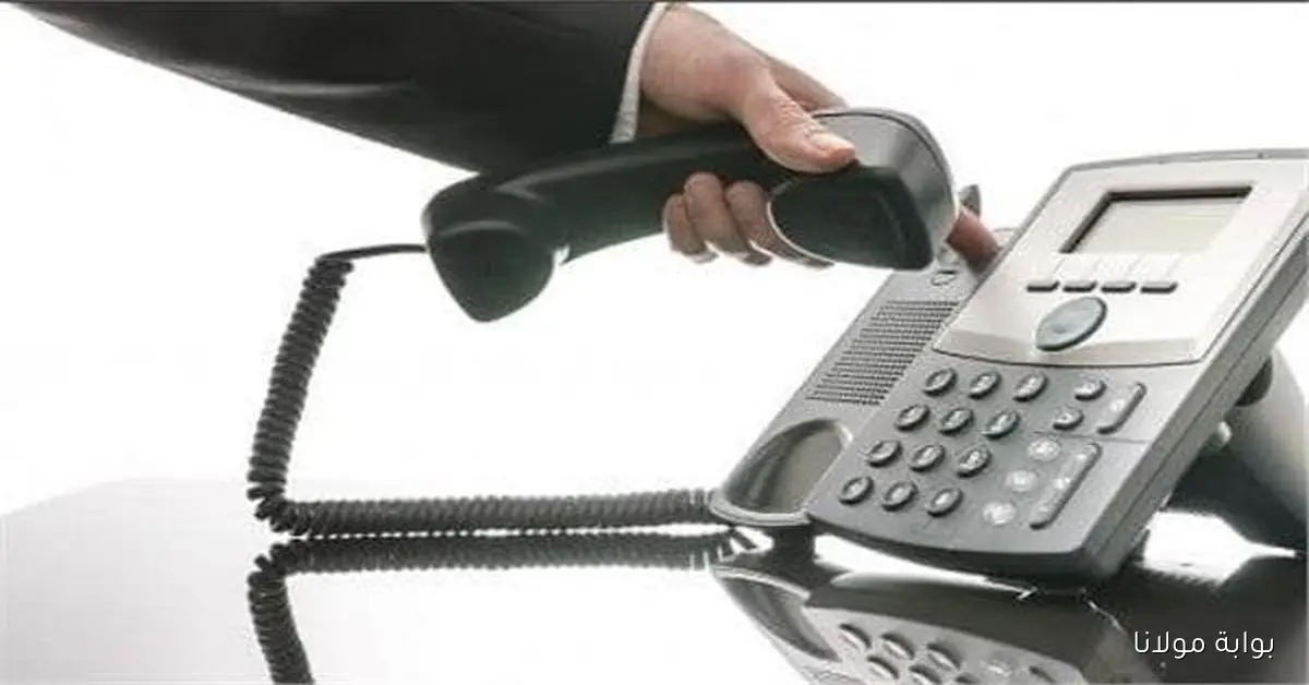 استكشف طرق سهلة للاستعلام عن فاتورة التليفون الأرضي لشهر أكتوبر 2025