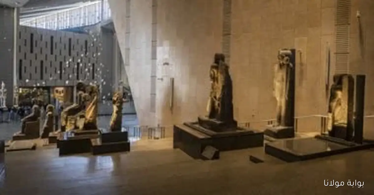 افتتاح الموقع الرسمي للمتحف المصري الكبير ليكون وجهتك الثقافية الجديدة