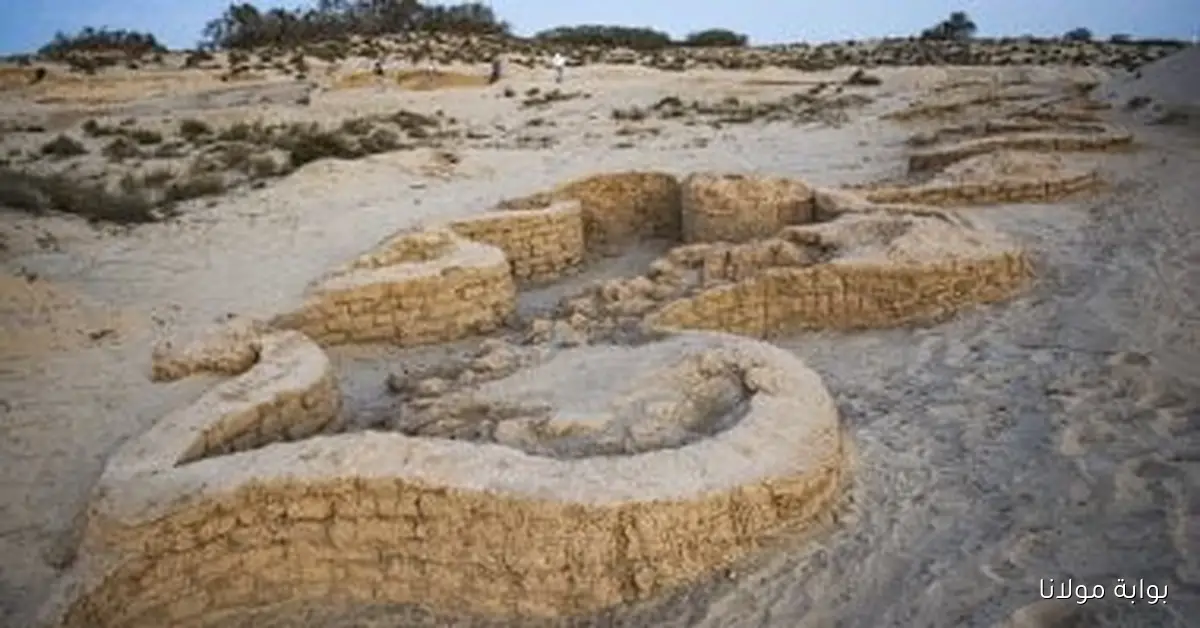 اكتشاف قلعة عسكرية تاريخية جديدة على طريق حورس الحربي في سيناء