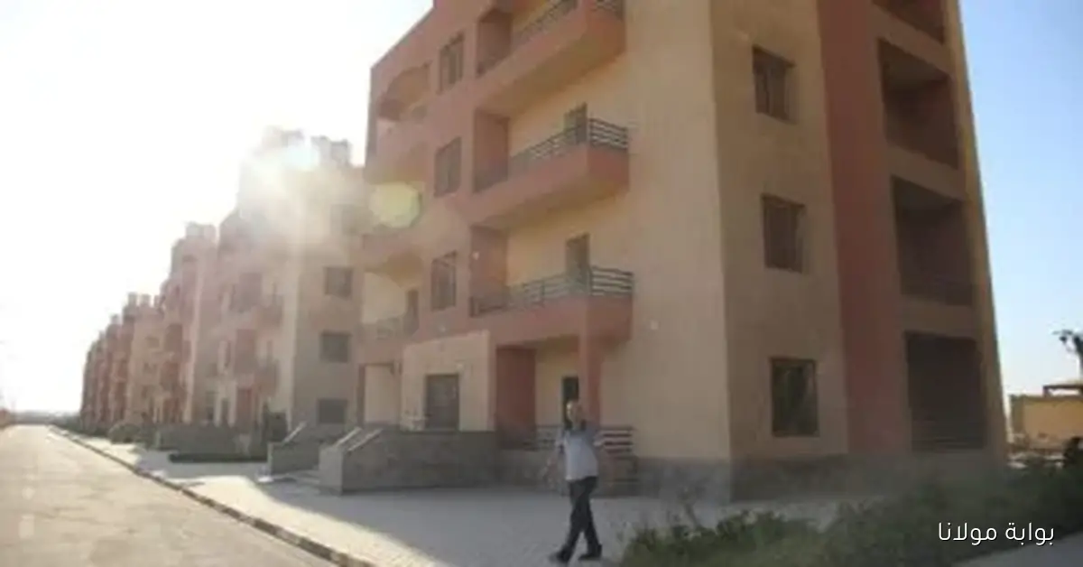 اكتشف المستندات اللازمة للحصول على شقة بديلة لمستأجري قانون الإيجار القديم