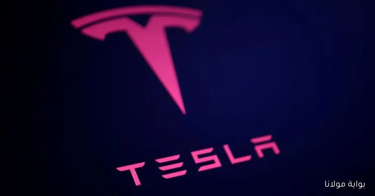 اكتشف النسخ الاقتصادية الجديدة من سيارات تسلا Model 3 وModel Y