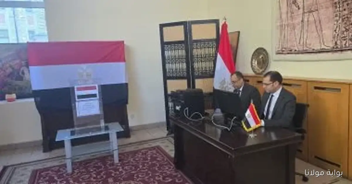 اكتشف كيف تتم إجراءات فحص طلبات الترشح والطعن في قوائم المرشحين