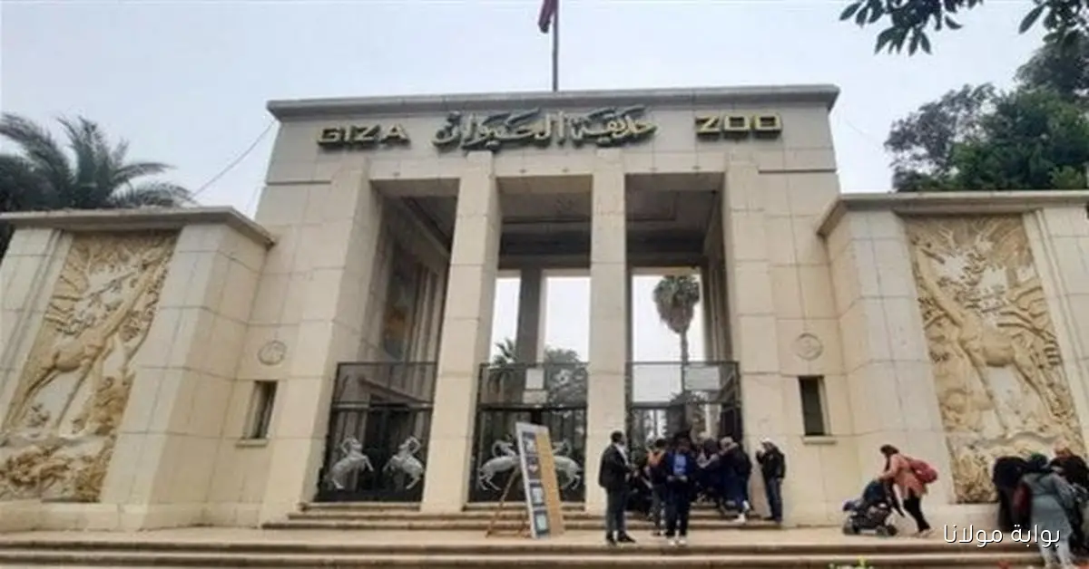 اكتشفوا تجربة ترفيهية فريدة مع موعد افتتاح حديقة الحيوان بالجيزة وأسعار التذاكر الجديدة