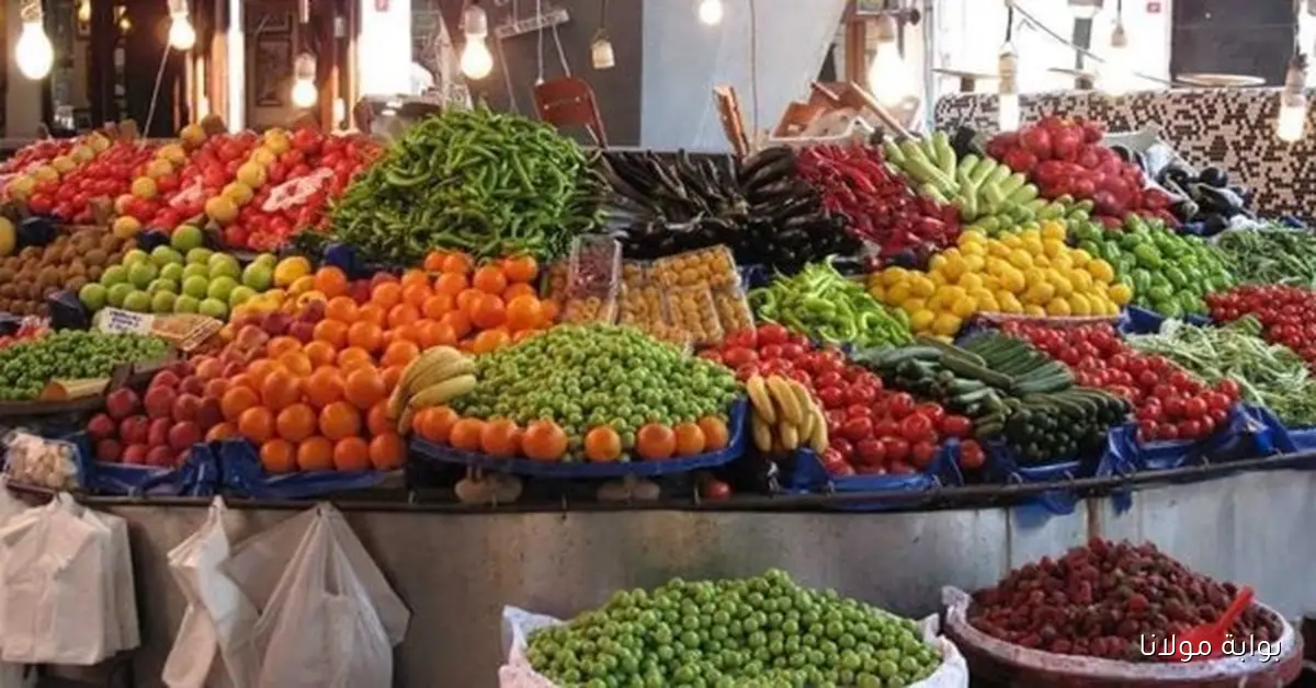 «الأسعار اتقلبت».. ارتفاع ملحوظ في أسعار الخضراوات والفاكهة اليوم الاثنين 27-10-2025
