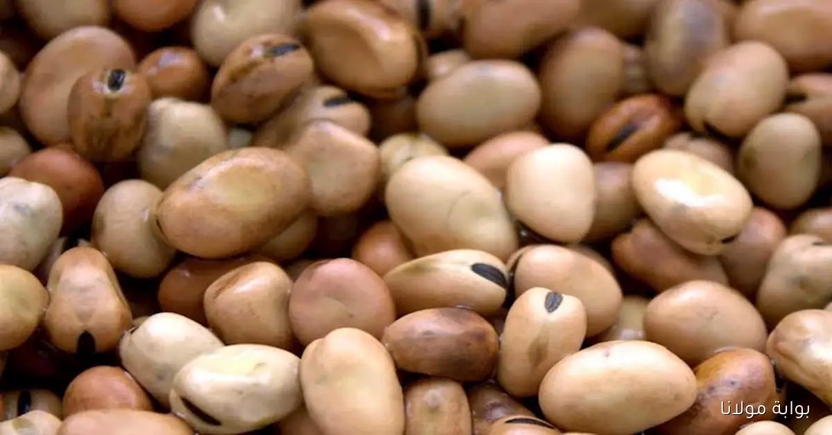 «الأسعار اتقلبت».. انخفاض مفاجئ في أسعار الفول والزيت بالأسواق اليوم