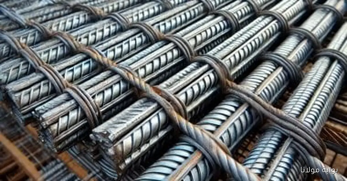 «الأسعار اتقلبت».. سعر الحديد يسجل تراجعًا ملحوظًا اليوم الخميس 23-10-2025