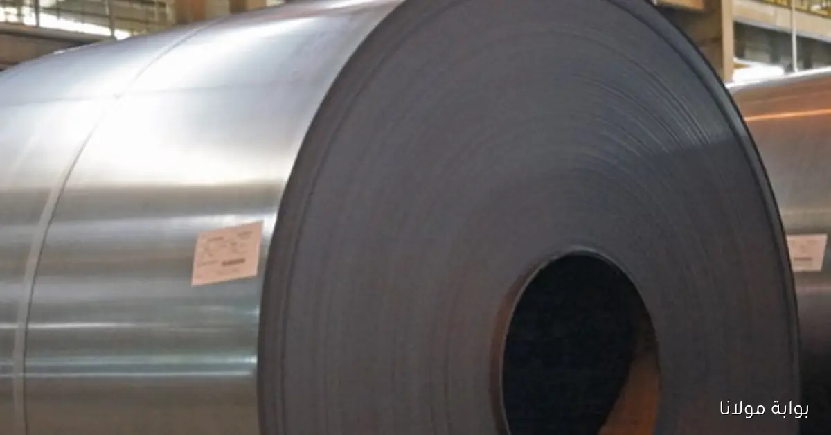«الأسعار بتكشف أسرار جديدة».. أسعار الحديد تسجل ارتفاعات ملحوظة محليًا وعالميًا اليوم الإثنين
