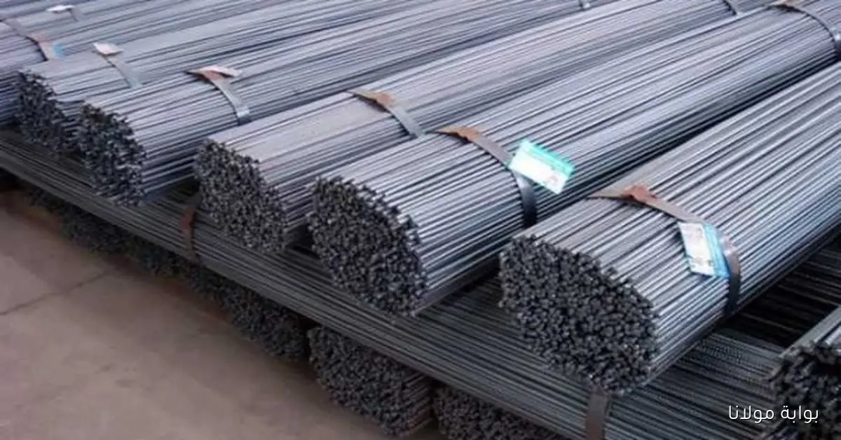 «الأسعار بتكشف أسرار جديدة».. سعر الحديد يتراجع مع اهتزاز مستوى الدعم عند 100 دولار
