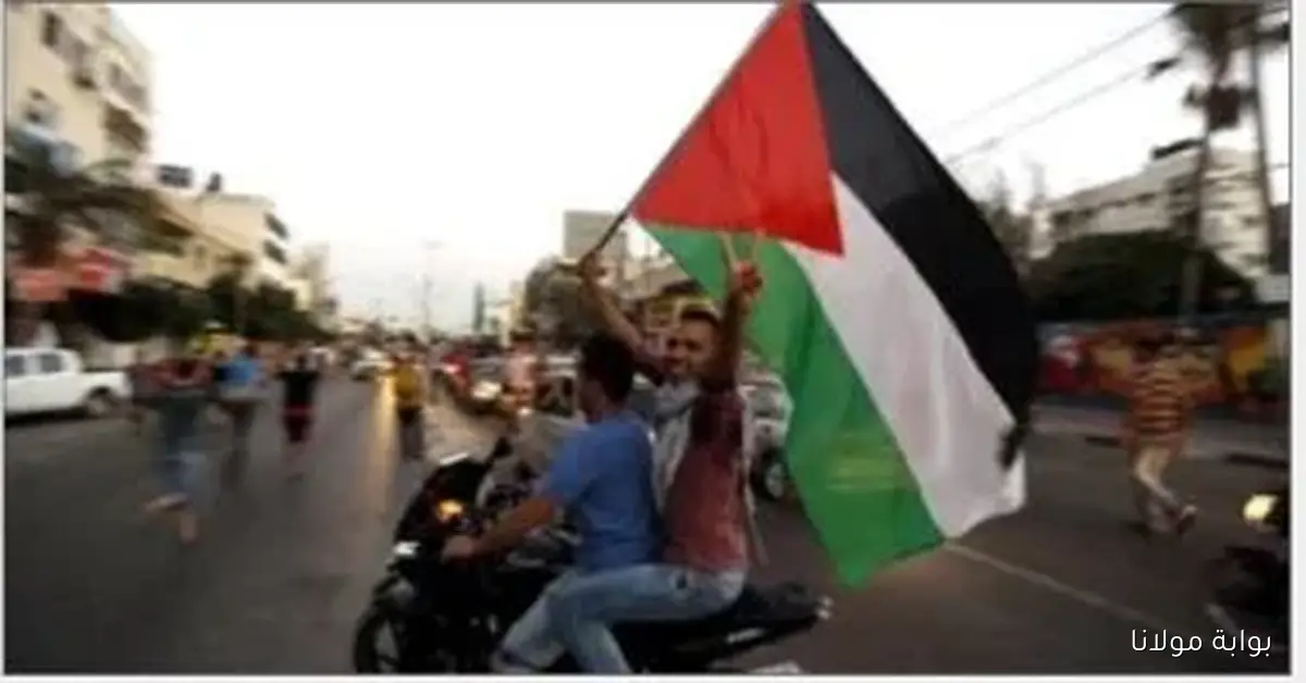 الأمم المتحدة تؤكد أهمية فتح معابر غزة لتعزيز تدفق المساعدات الإنسانية