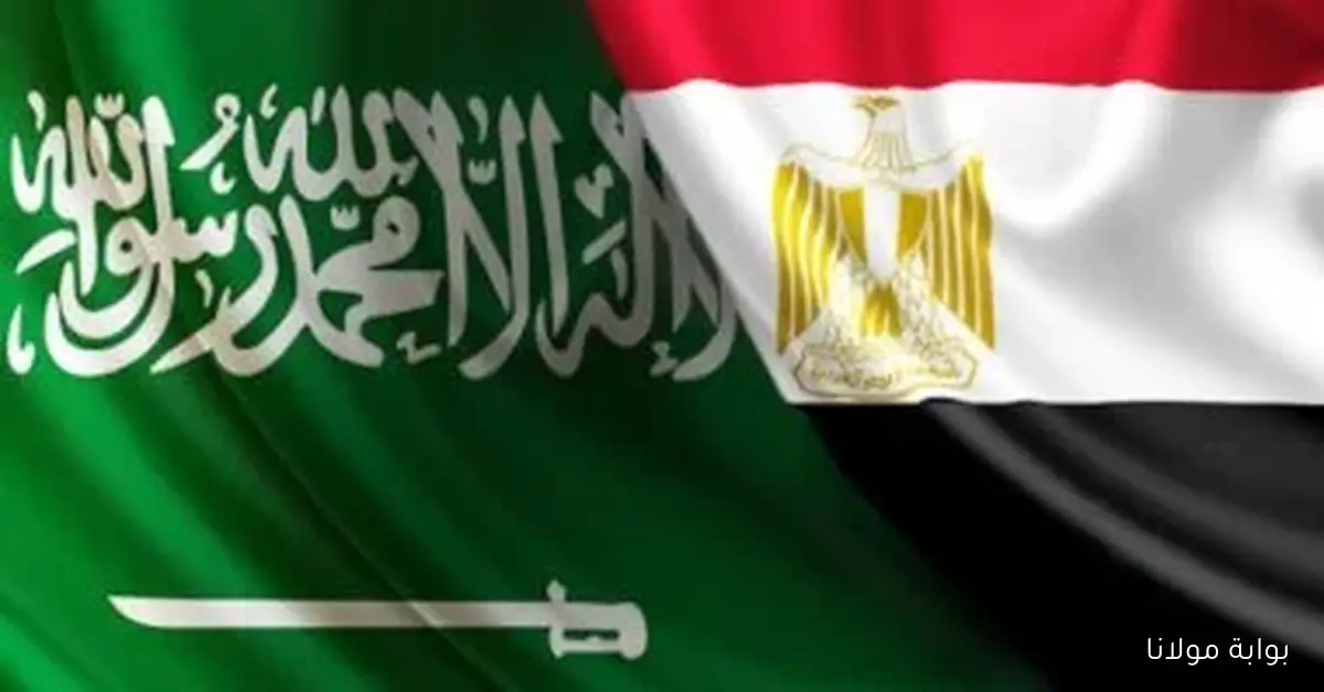 التبادل التجاري بين مصر والسعودية يسجل ارتفاعًا ملحوظًا ليصل إلى 5.9 مليار دولار في نصف عام