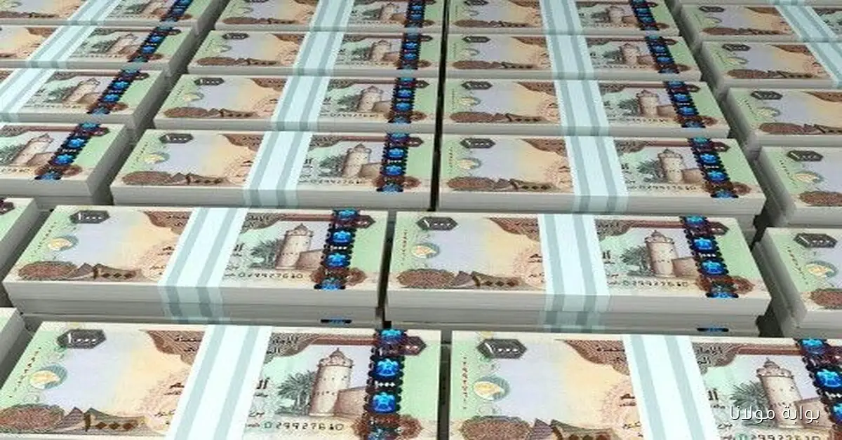 استقرار سعر الدرهم الإماراتي أمام الجنيه المصري وسط تقلبات السوق المالي في 10 أكتوبر 2025