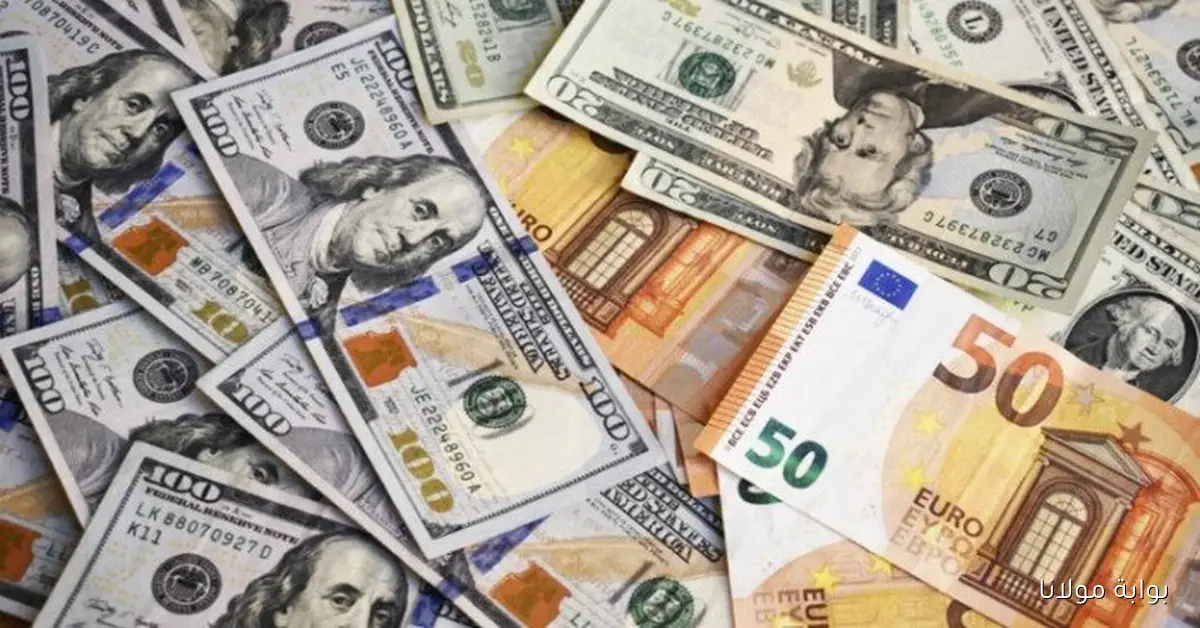 اليورو والدولار وصلوا كام.. أسعار العملات العربية والأجنبية اليوم الأربعاء 1 أكتوبر 2025