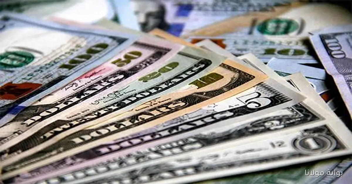 الدولار يواجه أكبر خسائره الأسبوعية منذ يوليو والين يستفيد من سياسة بنك اليابان