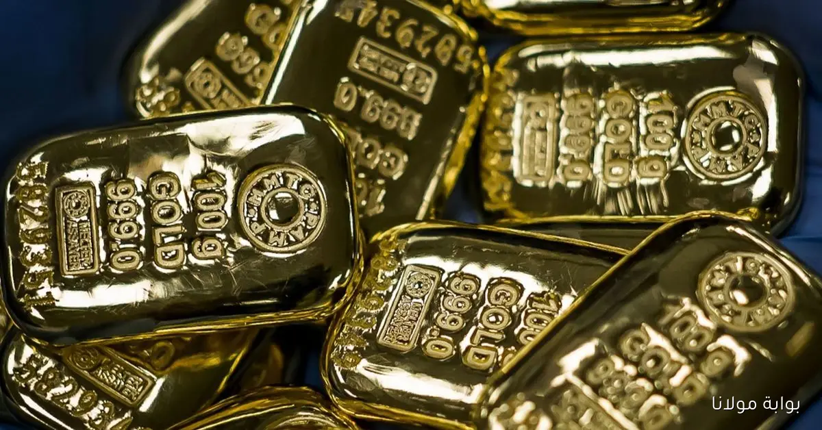 الذهب يرتفع لليوم السادس مع تزايد توقعات خفض أسعار الفائدة من البنوك المركزية الكبرى