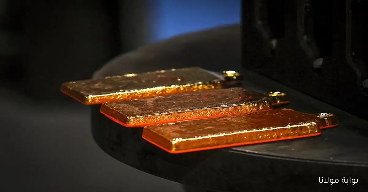 الذهب يستمر في كتابة التاريخ بعد صعود قياسي عالمي ومكاسب غير مسبوقة في مصر